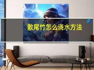 散尾竹怎么浇水方法