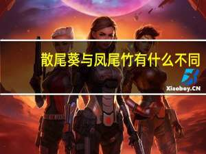 散尾葵与凤尾竹有什么不同