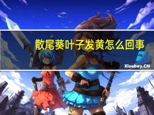 散尾葵叶子发黄怎么回事