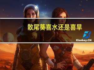 散尾葵喜水还是喜旱