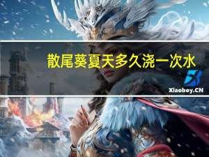 散尾葵夏天多久浇一次水