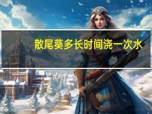 散尾葵多长时间浇一次水
