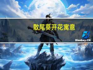 散尾葵开花寓意