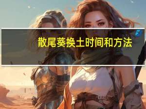 散尾葵换土时间和方法