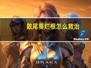 散尾葵烂根怎么救治