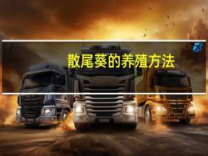 散尾葵的养殖方法：切忌盆土积水