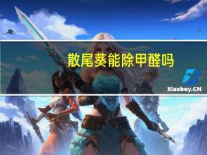散尾葵能除甲醛吗