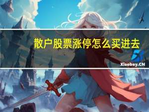 散户股票涨停怎么买进去