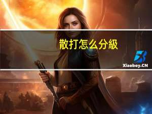 散打怎么分級(jí)