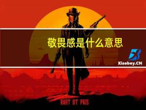 敬畏感是什么意思