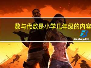 数与代数是小学几年级的内容