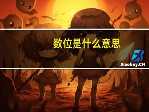 数位是什么意思