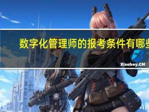 数字化管理师的报考条件有哪些