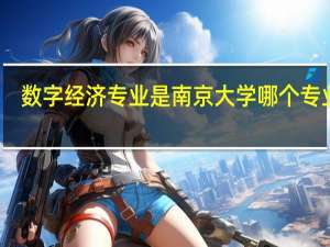 数字经济专业是南京大学哪个专业呢