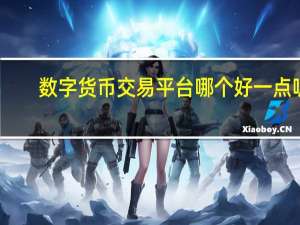 数字货币交易平台哪个好一点呢（数字货币交易平台哪个好）