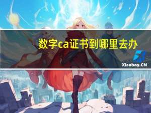 数字ca证书到哪里去办（什么是数字CA证书 有什么用）