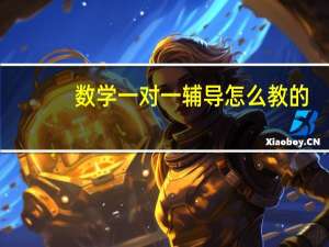 数学一对一辅导怎么教的