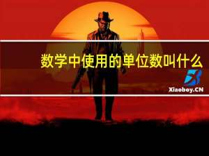 数学中使用的单位数叫什么？