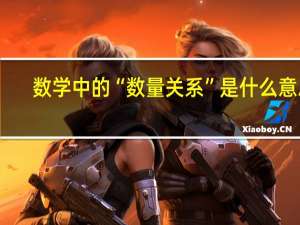 数学中的“数量关系”是什么意思