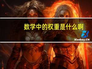 数学中的权重是什么啊