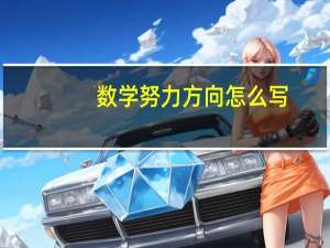 数学努力方向怎么写