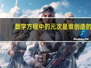 数学方程中的元次是谁创造的