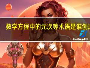 数学方程中的元次等术语是谁创造的