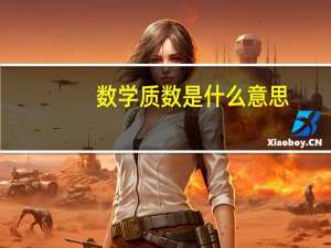 数学质数是什么意思
