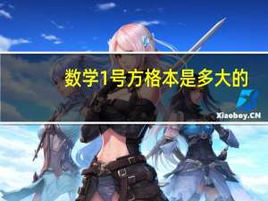 数学1号方格本是多大的