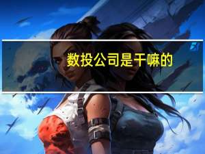 数投公司是干嘛的