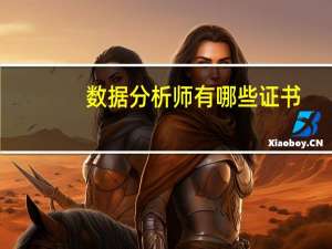 数据分析师有哪些证书