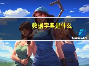 数据字典是什么