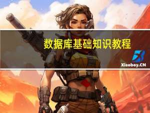数据库基础知识教程（数据库基础知识）