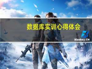 数据库实训心得体会