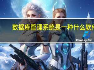 数据库管理系统是一种什么软件