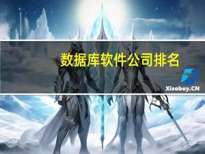 数据库软件公司排名（数据库软件）