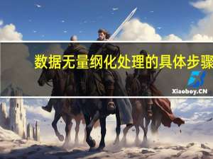 数据无量纲化处理的具体步骤