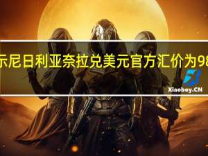 数据显示尼日利亚奈拉兑美元官方汇价为980创历史新低
