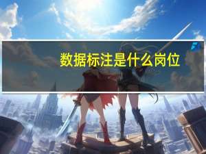 数据标注是什么岗位（数据标注是什么）