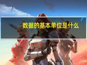 数据的基本单位是什么