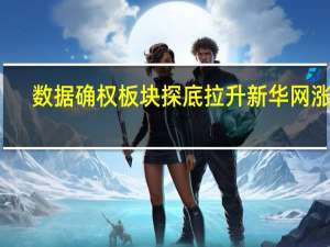 数据确权板块探底拉升 新华网涨停