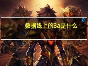 数据线上的3a是什么
