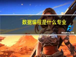 数据编程是什么专业