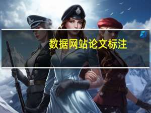 数据网站论文标注
