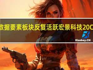 数据要素板块反复活跃 宏景科技20CM涨停