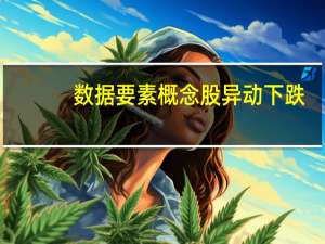 数据要素概念股异动下跌