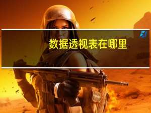 数据透视表在哪里