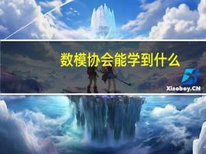 数模协会能学到什么
