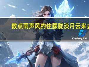 数点雨声风约住朦胧淡月云来去