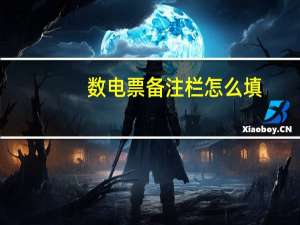 数电票备注栏怎么填